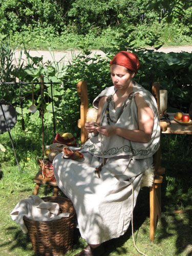 Cees Heijdel - fotoboek-archief/07_sibbe muninn 2008.jpg